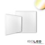 ISOLED LED Panel HCL Line 600, UGR<19, CRI90, 42W, weißdynamisch, DALI DT8