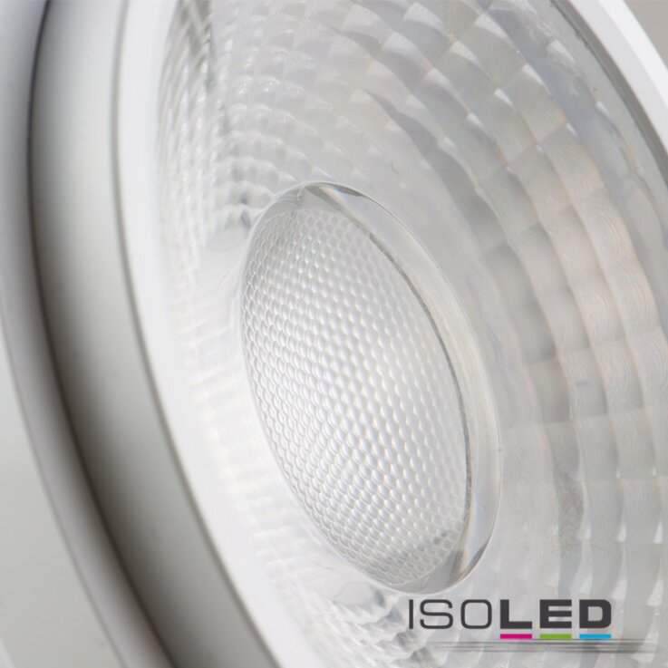 AR111 Fruit Light 30W, 35°-50° variabel, inkl. externem VG