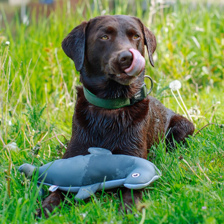 NOBBY Hundespielzeug Stoff-Hammerhai wasserfest "Flaoting", 38,5 cm