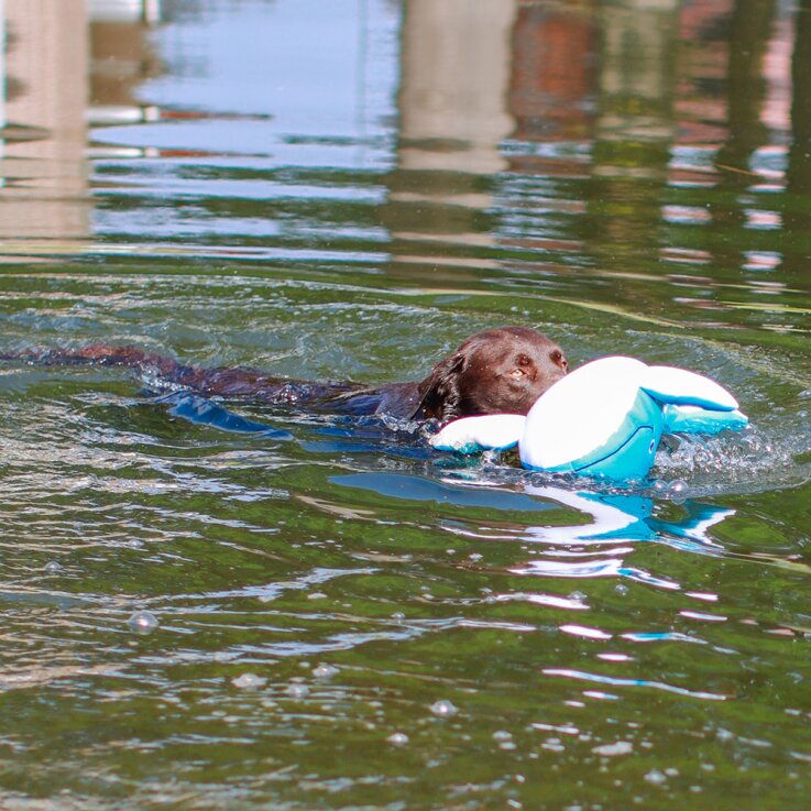 NOBBY Hundespielzeug Stoffwal wasserfest "Floating", 48 cm