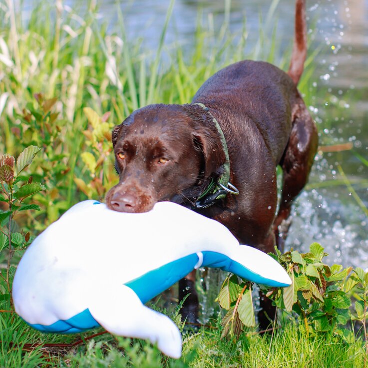 NOBBY Hundespielzeug Stoffwal wasserfest "Floating", 48 cm