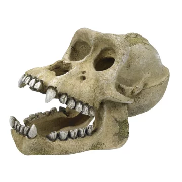 NOBBY Aqua Ornaments  "Gorilla Skelett", 18,7 x...