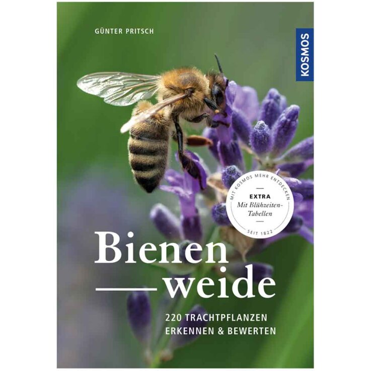 Bienenweide: 200 Trachtpflanzen erkennen und bewerten