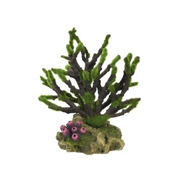 NOBBY Aqua Ornaments "Koralle mit Moos", 19 x...