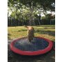 NOBBY Splash Pool, rot, M, Ø 100 cm