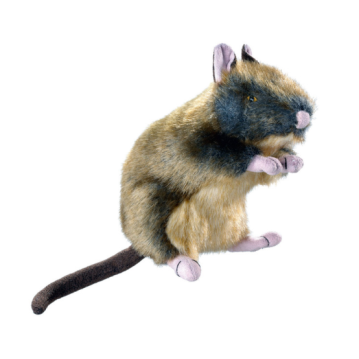 Hunter Hundespielzeug Wildlife  20 cm (34 cm...