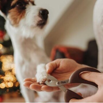 Hunter Krallenschere Spa 10 x 7 cm, Kunststoff braun/grau