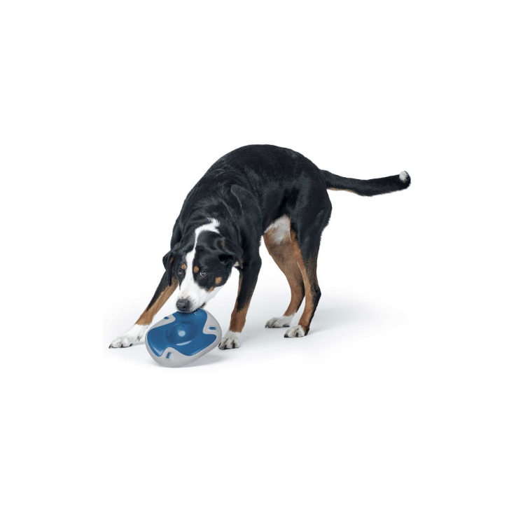 Hunter Hundespielzeug Sansibar Morsum Frisbee blau/grau, Ø = 22 cm