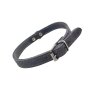 NOBBY Lederhalsband "Tabil", grau, S - M, 42 cm (33-39 cm), 16 mm