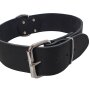 NOBBY Halsband extra "Tabil", schwarz, XL - XXL, 75 cm (61-71 cm), 50 mm