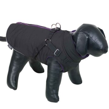 NOBBY "Sobak" Hundemantel, schwarz-lila, 32 cm