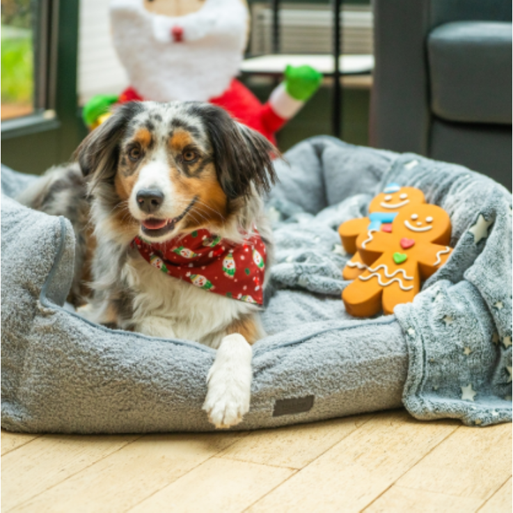 NOBBY Xmas Lebkuchenmann, 11 cm