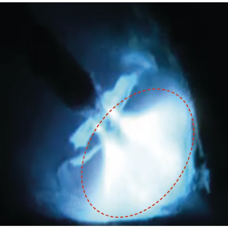 SCHWEISSKRAFT MIG/MAG-Impulsschweißgerät PRO-PULS 300 W Set
