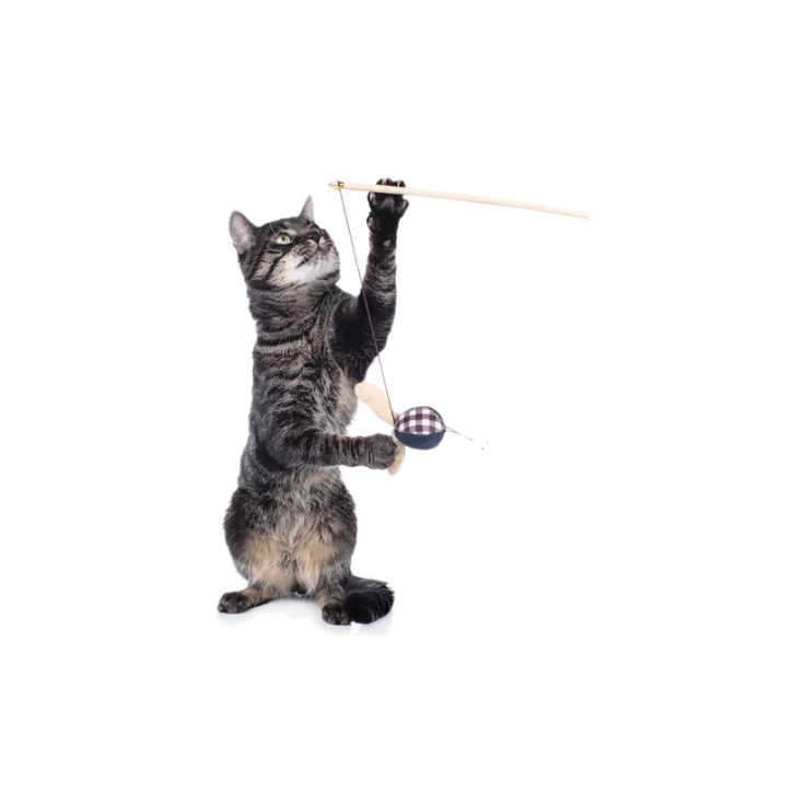 HUNTER Smart Katzenspielzeug Elroy Katzenangel Hase, 50 cm