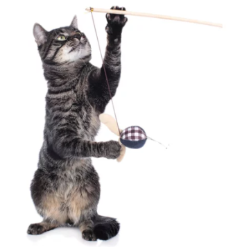 HUNTER Smart Katzenspielzeug Elroy Katzenangel Hase, 50 cm