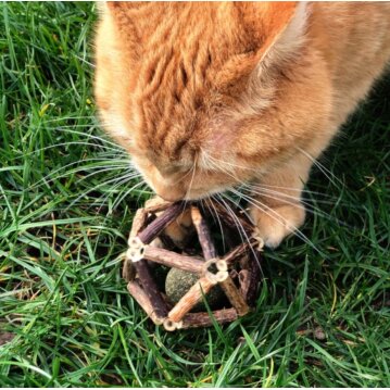 AUMÜLLER Silver Vine Dentalspielzeug Spielball,...