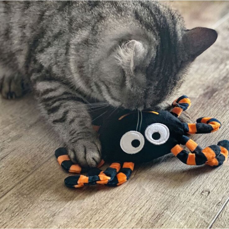 AUMÜLLER Spinne Thekla Baldrian-Katzenspielkissen, schwarz - orange