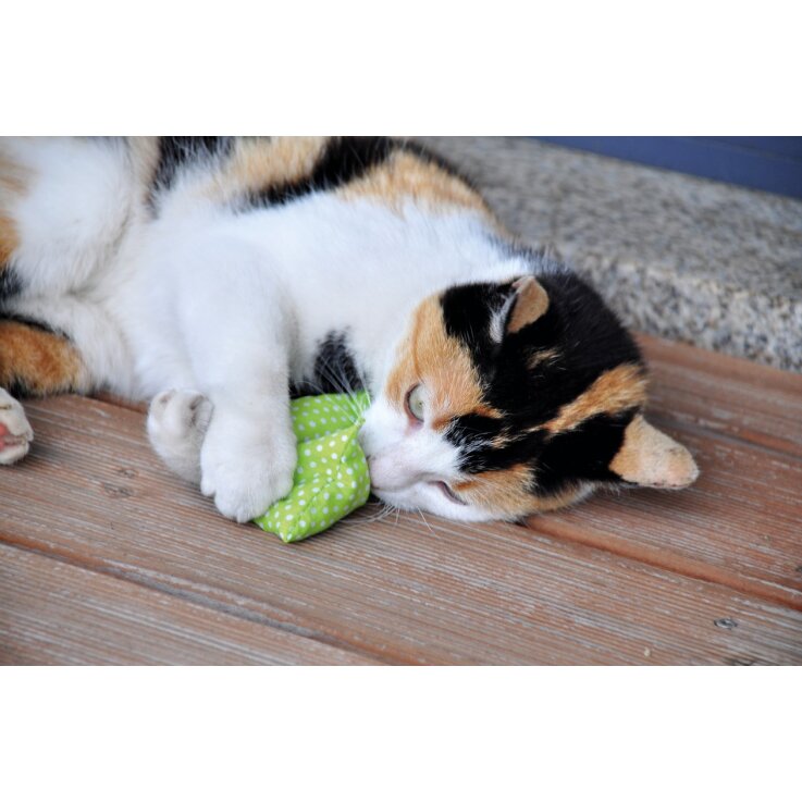 AUMÜLLER Baldrian-/ Dinkelkatzenspielkissen