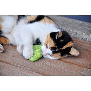 AUMÜLLER Baldrian-/ Dinkelkatzenspielkissen