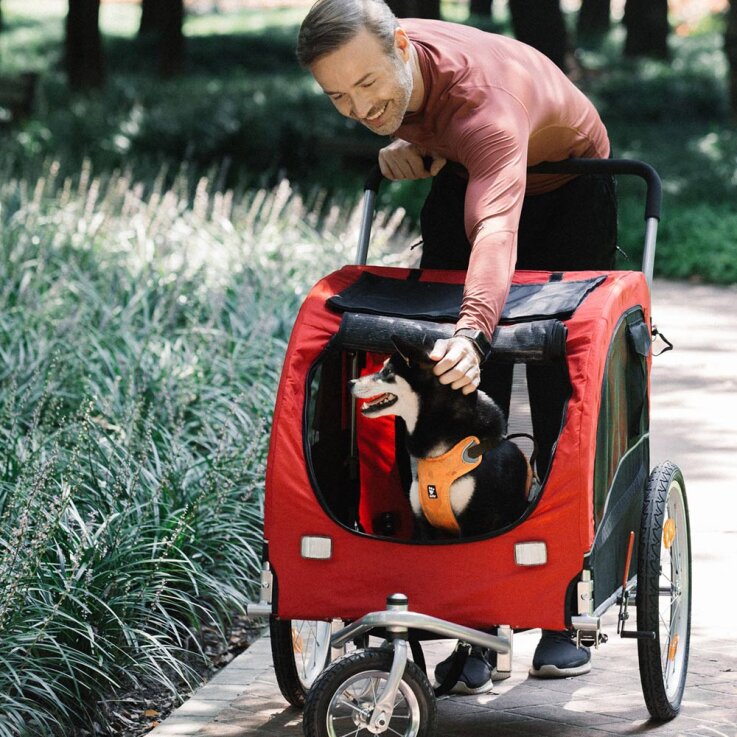 NOBBY Fahrrad-Anhänger „SENLIMA“ rot-schwarz, M