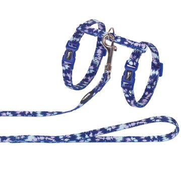 NOBBY Katzengarnitur "Paintb."