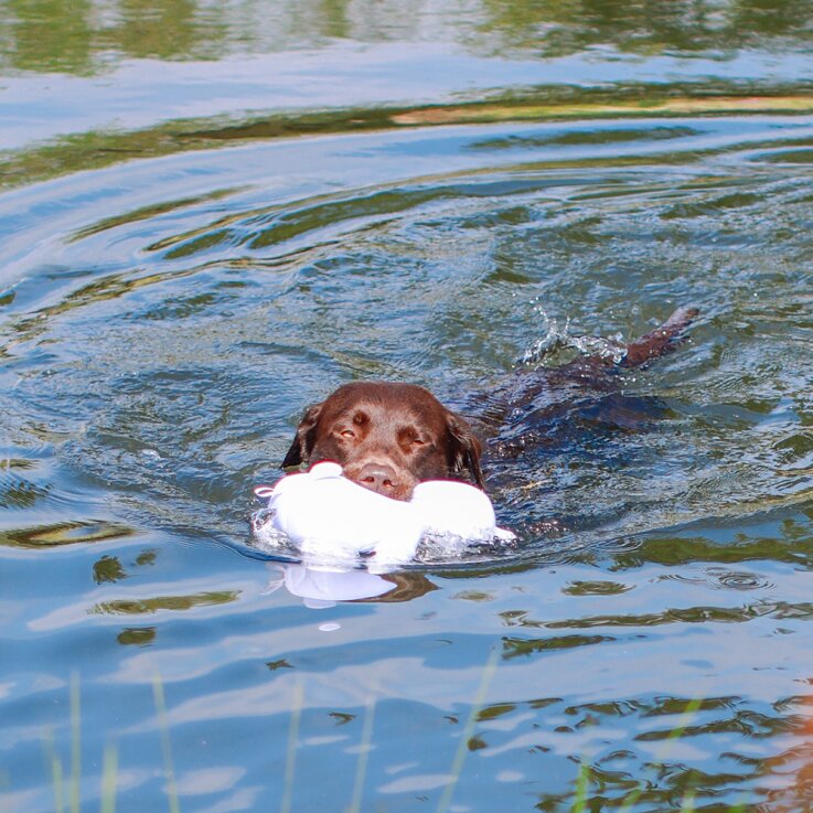 NOBBY Hundespielzeug Stoffeisbär wasserfest "Floating", 27 cm