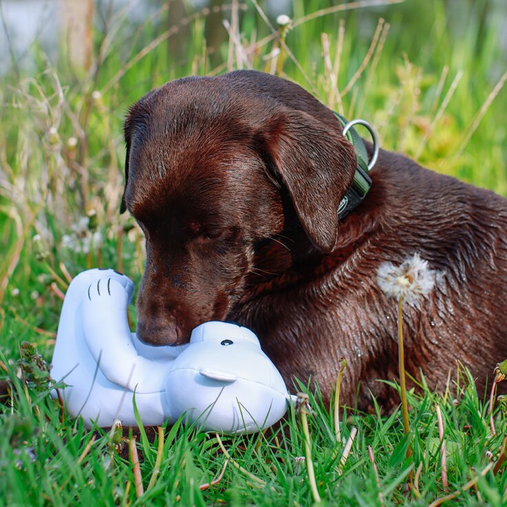 NOBBY Hundespielzeug Stoffeisbär wasserfest "Floating", 27 cm