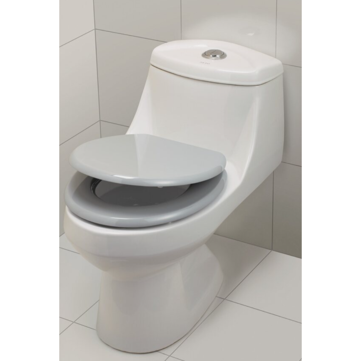 WC-Sitz Amina Silber