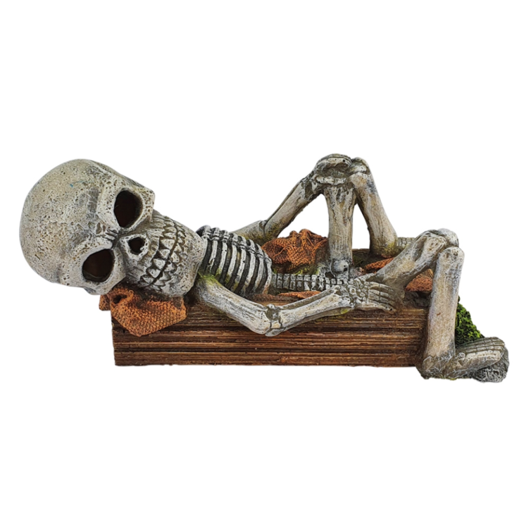 NOBBY Aqua Ornaments "LIEGENDES SKELETT", 17 x 7,8 x 7,3 cm