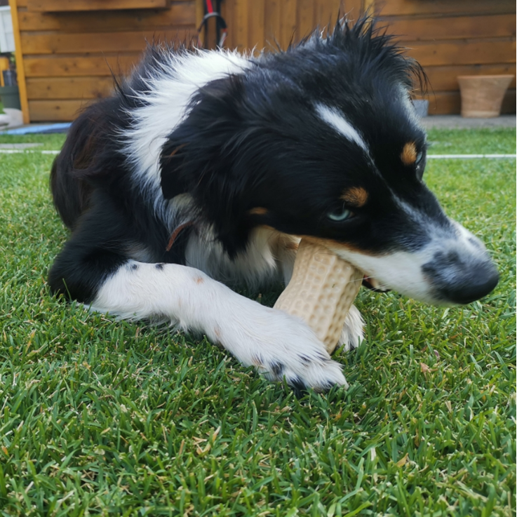 NOBBY TPR Spielzeug "Peanut", beige, 11 cm