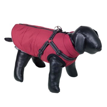 NOBBY Hundemantel "SALUS 2 in 1" rot 40 cm