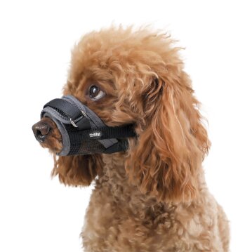 NOBBY Maulkorb verstellbar , M, grau/schwarz