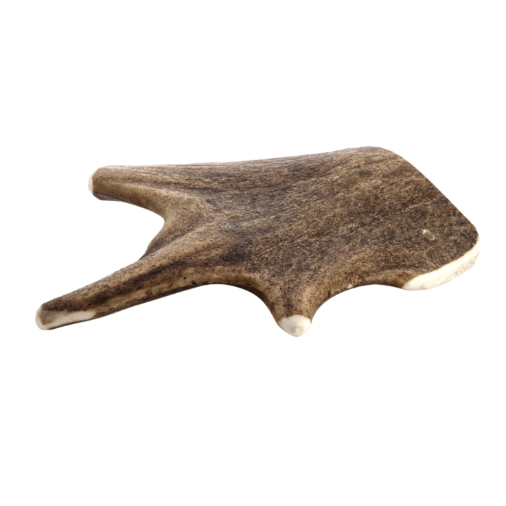 Hunde - Kauartikel CHEWIES Damhirsch-Geweihstück, L, 160 g