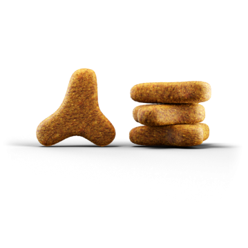 Katzen - Trockenfutter JOSERA Adult Léger