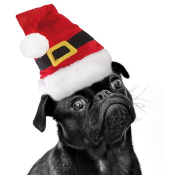 NOBBY Xmas Mütze "Santa", Ø 38 x...