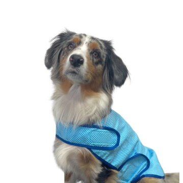 NOBBY Kühl-Weste "Comfort"