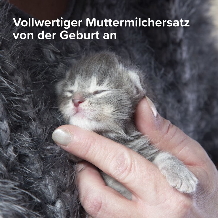 BEAPHAR Lactol Aufzucht-Milch Katze
