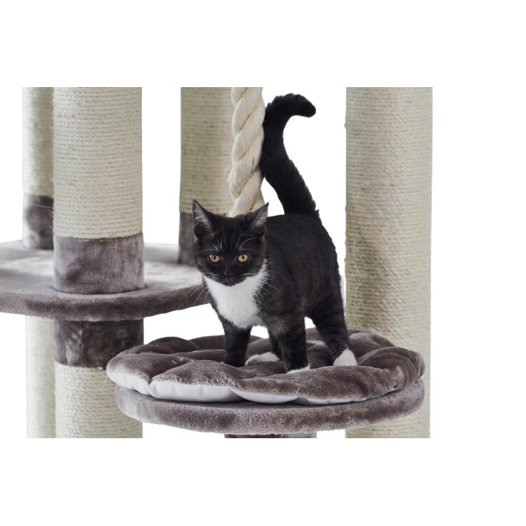 NOBBY Kratzbaum "FREDO", 158 cm