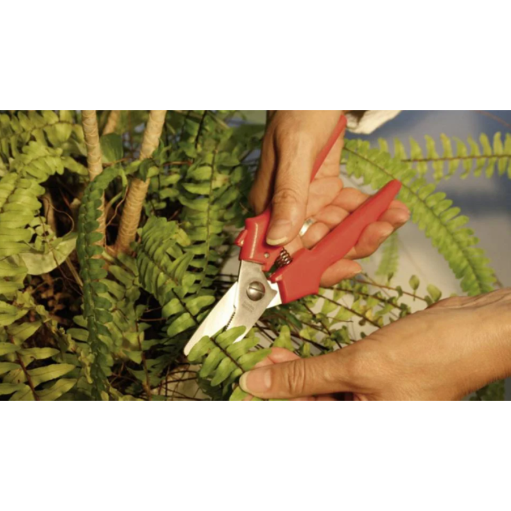 BESSEY ERDI Combischere gerade