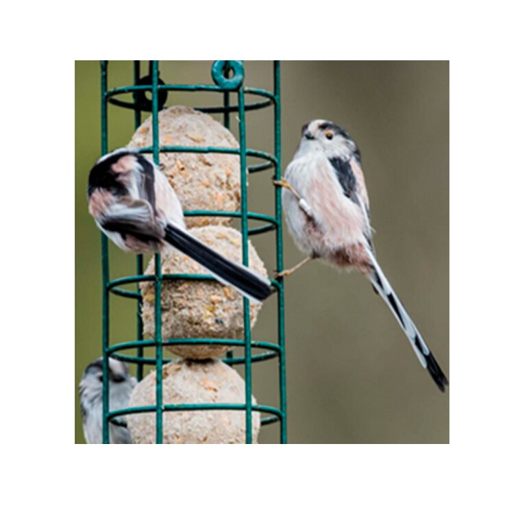 NOBBY Meisenknödel-Säule, Ø 6 x 43 cm