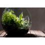 ESSCHERT DESIGN Terrarium-Pflanzgefäß mit Werkzeug, 55 L