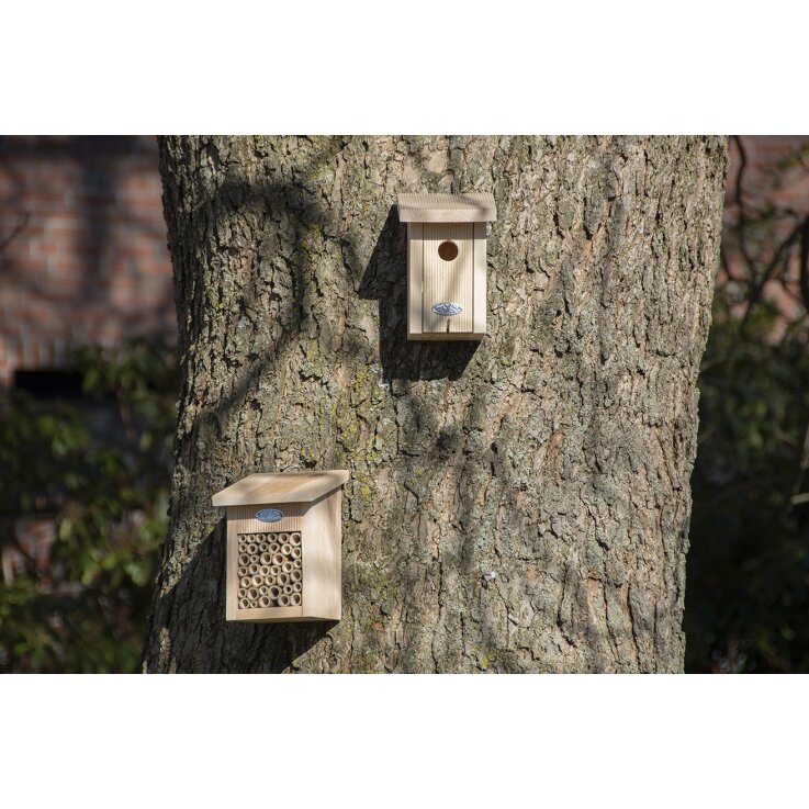 ESSCHERT DESIGN Nistkasten für Zaunkönige in Geschenkbox