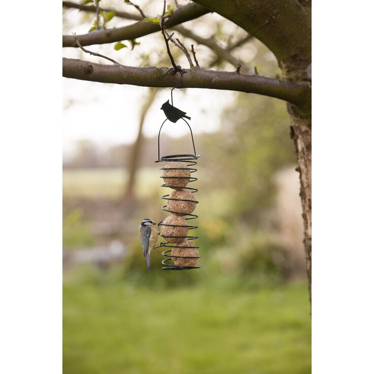 ESSCHERT DESIGN Gerade Futterfeder für Meisenknödel