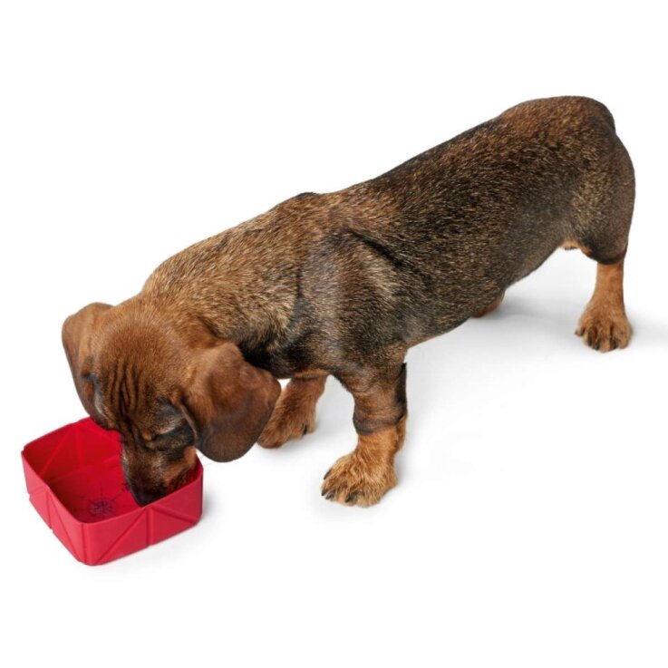 HUNTER Silikon Falt-Reisenapf List, 590 ml