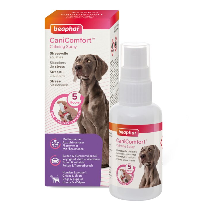 BEAPHAR CaniComfort® Wohlfühl-Spray für Hunde, 60 ml