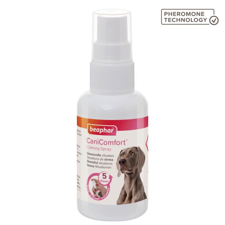 BEAPHAR CaniComfort® Wohlfühl-Spray für Hunde, 60 ml