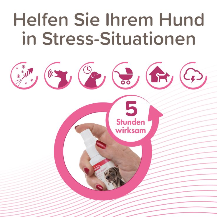 BEAPHAR CaniComfort® Wohlfühl-Spray für Hunde, 60 ml