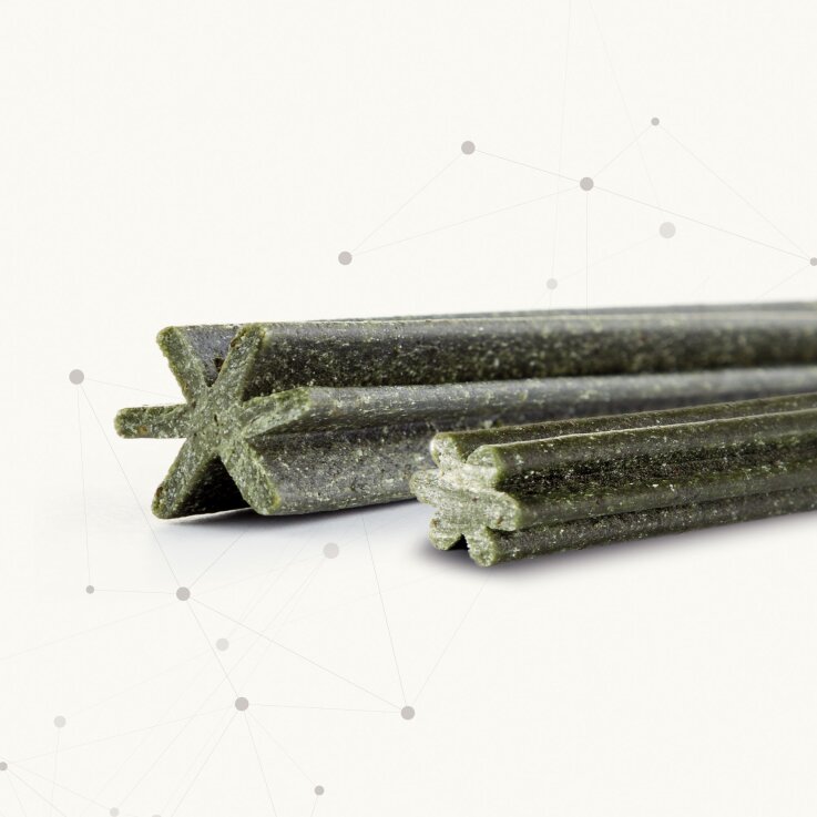 BEAPHAR Zahnpflege Sticks für Hunde ab 10 kg, 7 Stk.