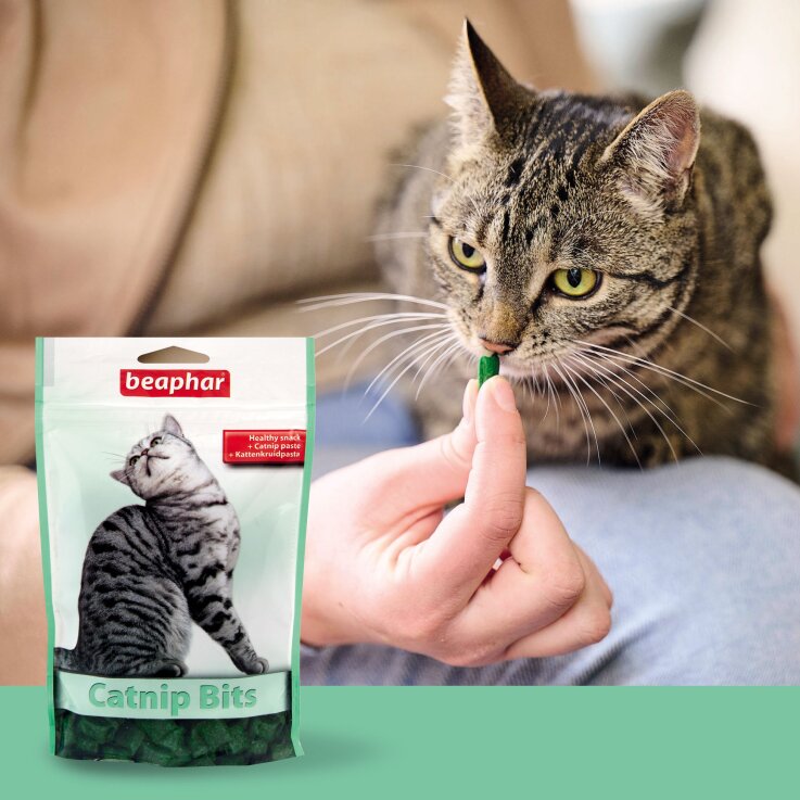 Katzen - Snacks BEAPHAR Catnip Bits, 150 g