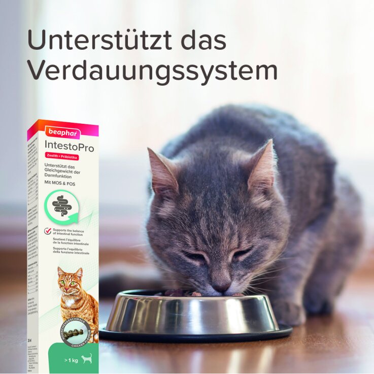 BEAPHAR IntestoPro Paste für Katzen, 20 ml
